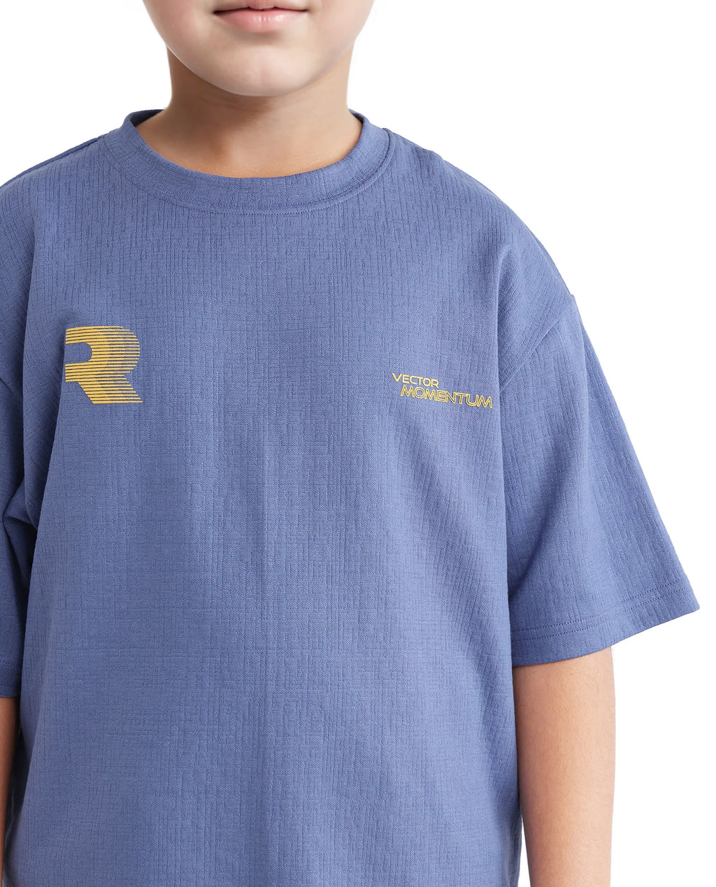 Rare Ones Kids Carlo-K Dusky Blue Cotton Blend Short Sleeve Crew Neck Print T-Shirt