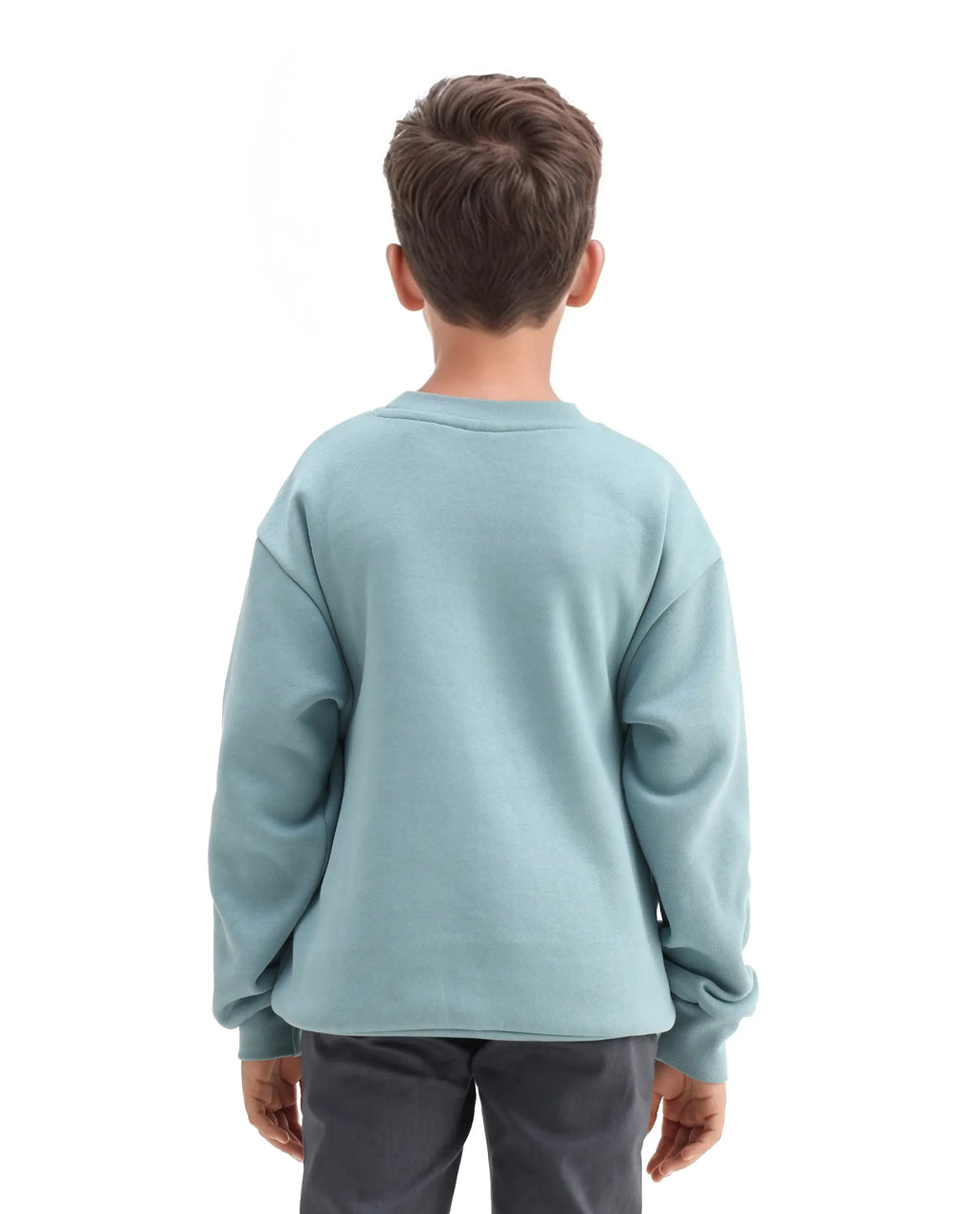 Rare Ones Kids Elio Light Blue Cotton Blend Digital Print Oversized Sweatshirt