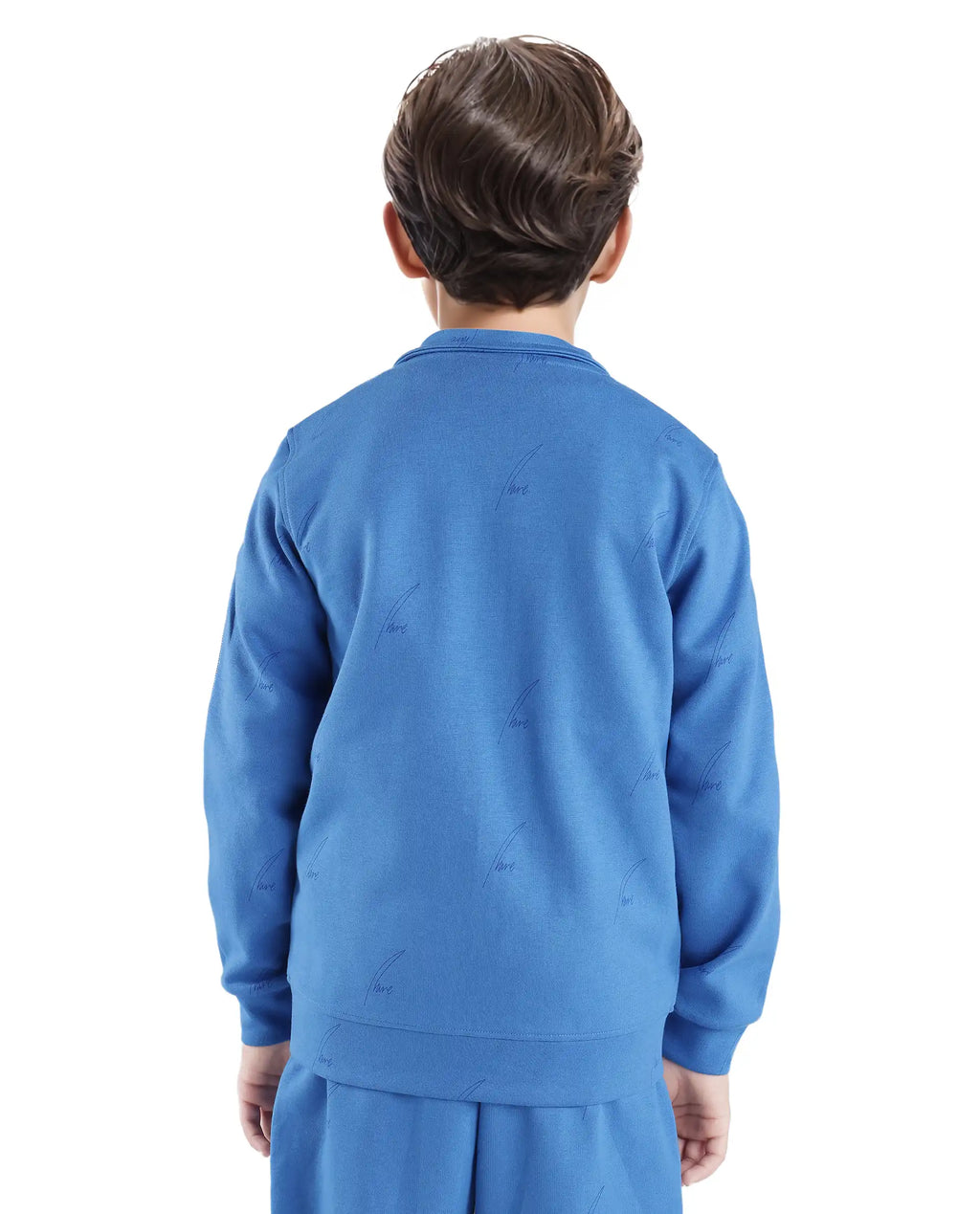 Rare Ones Kids Jacksign Blue Cotton Full Sleeves High Neck Striped Sleeve Zipper Closure Jelly Print Jacket